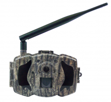 4G/LTE MG984G-30M MMS  Wildkamera 30 MP 1080 FHD