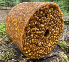 Wildlutscher Spezial Leckstein gerösteter Mais 3 kg